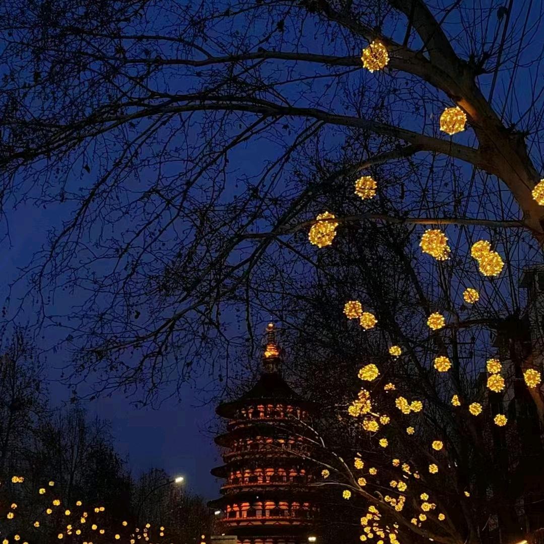 ❤️洛阳张哥❤️