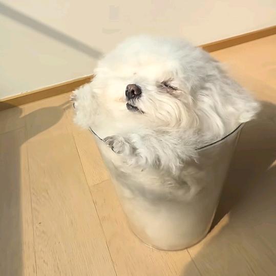 挽留不及