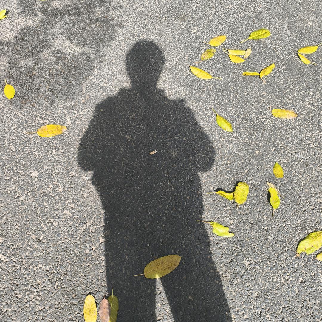 我是小白盒
