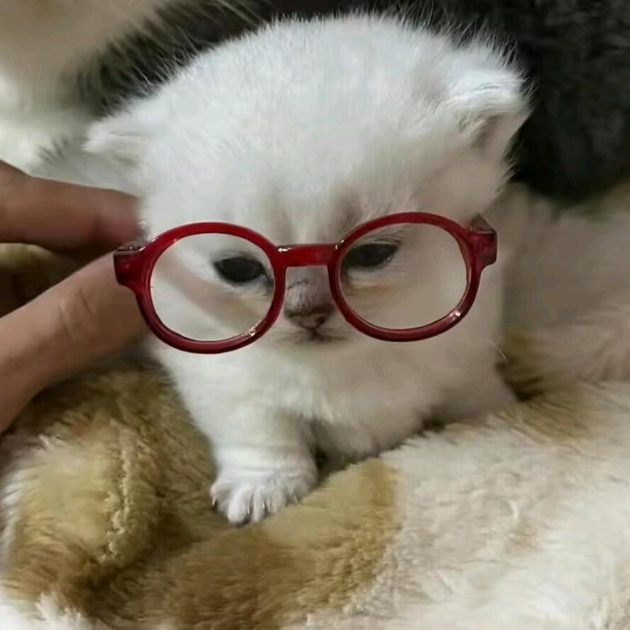 暴躁杰啊杰