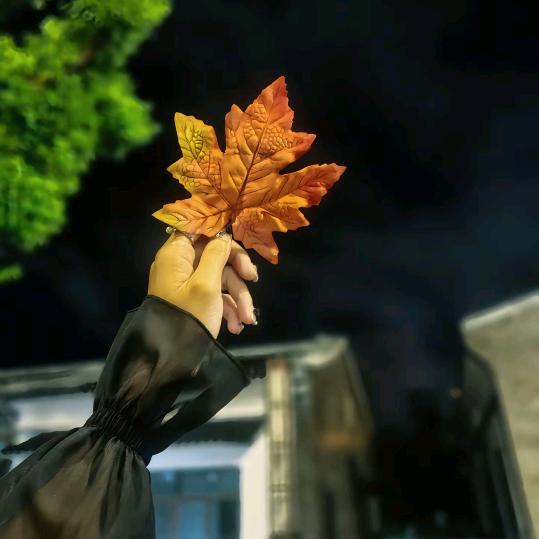 💞࿐ᩚ