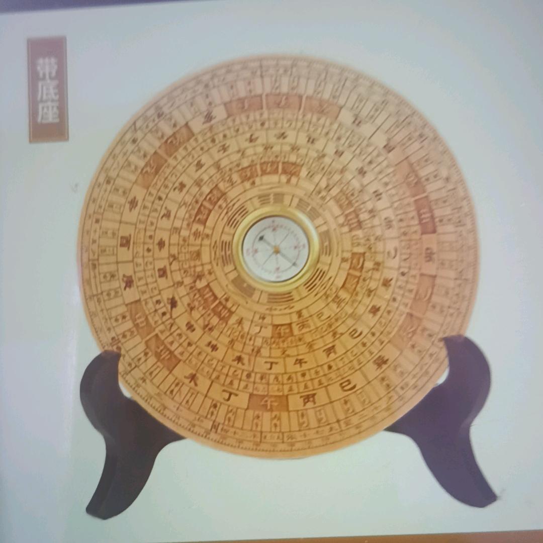 聪笨人