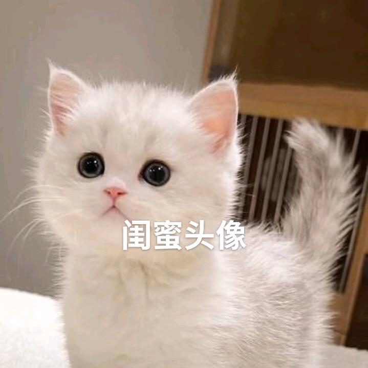 洛笙