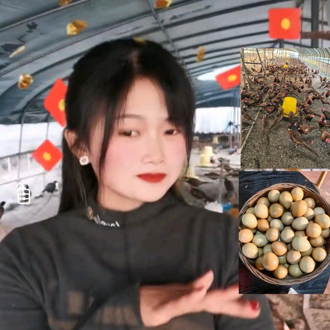 沭阳县陇集镇肖飞养殖场
