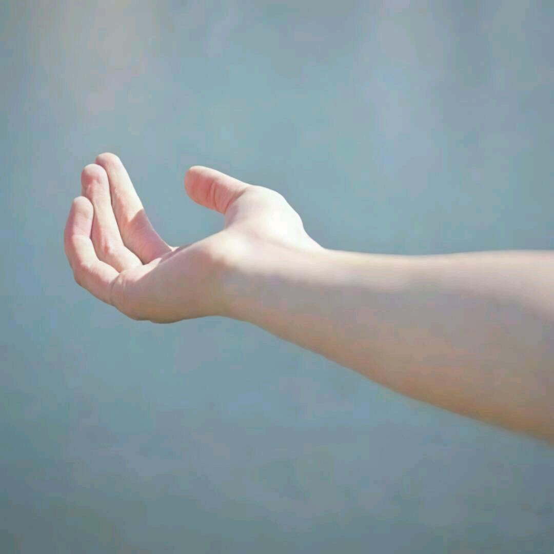 是故人来🦁（攒钱换su7）