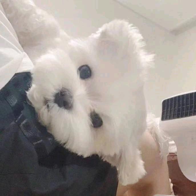 晗美研欧美美妆采购