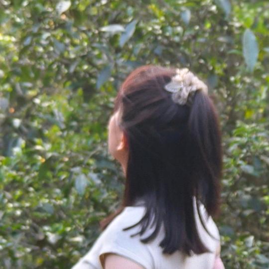美邦头疗采耳养生  泳冰