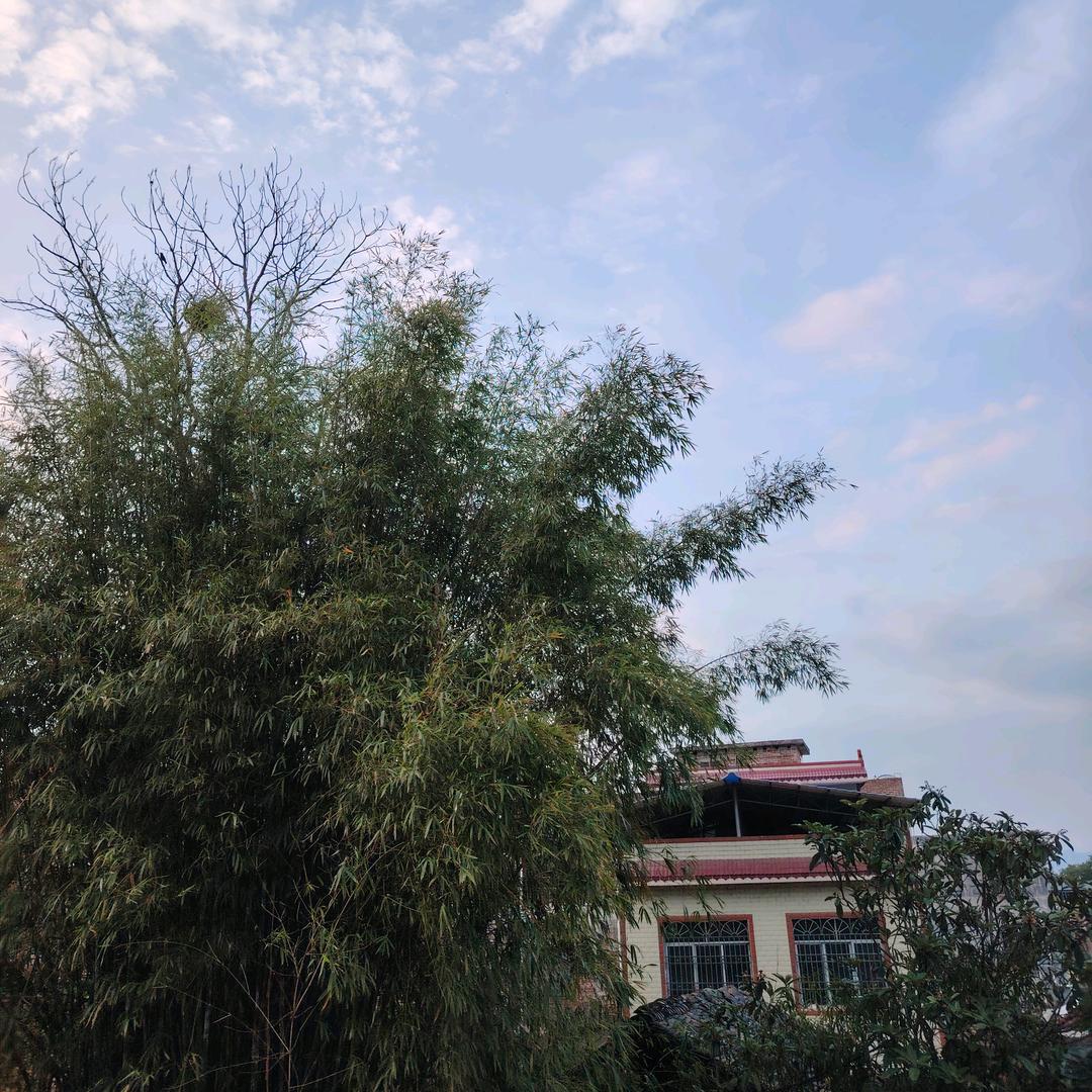 军大大吖