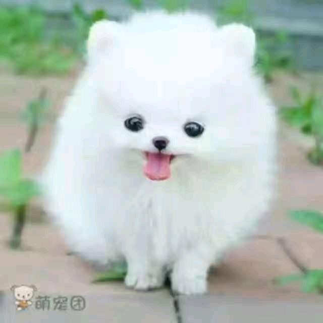 金银
