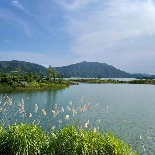 莳屿东城