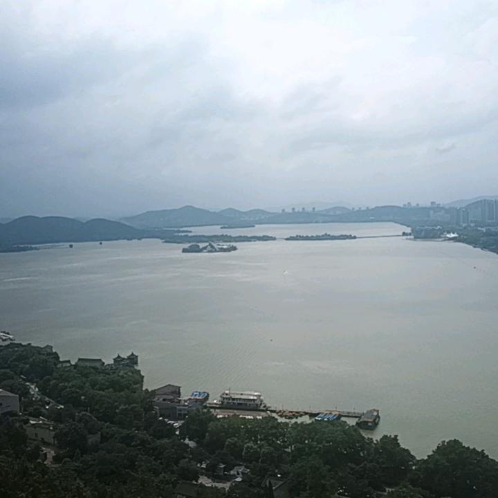 乱哥