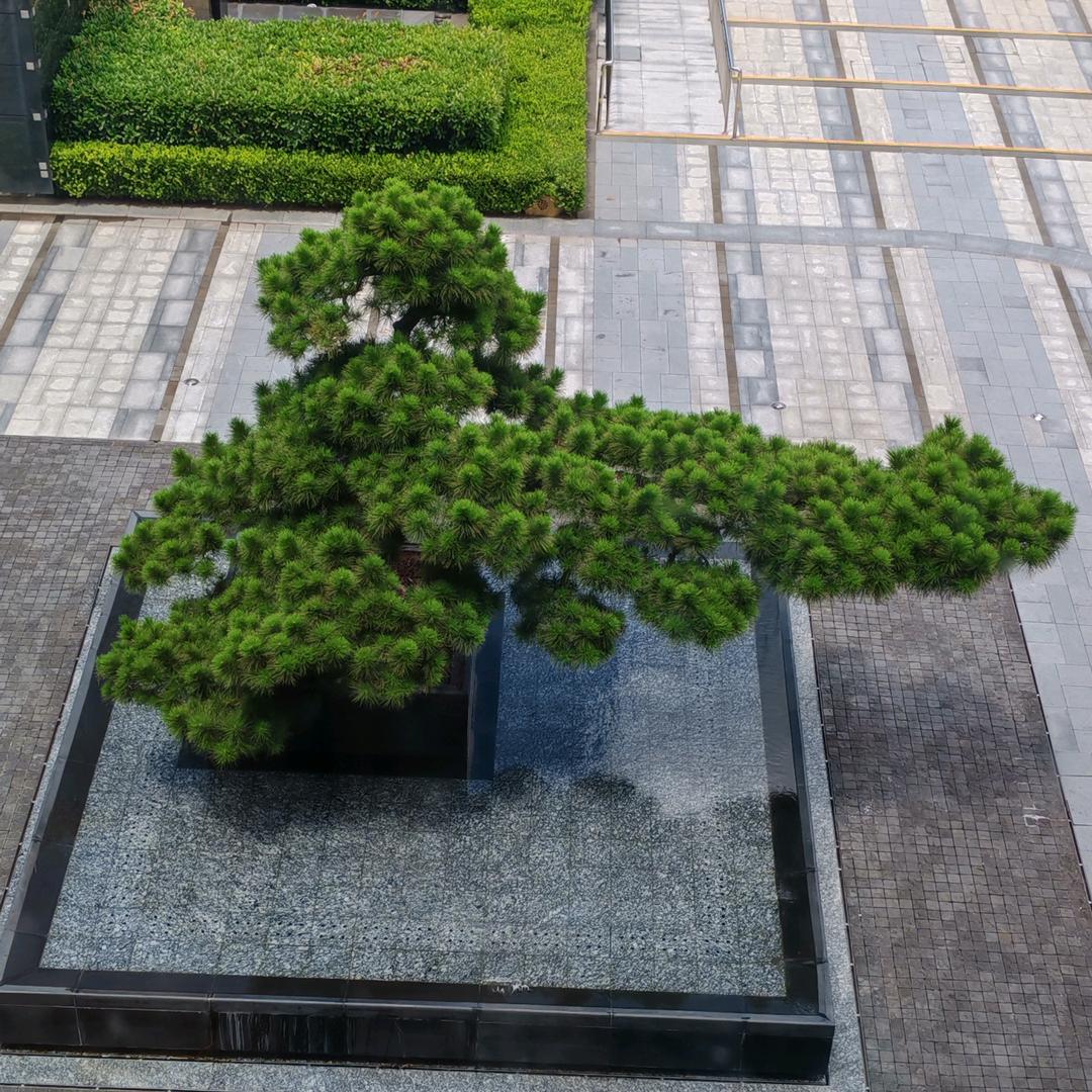 搞钱要紧…