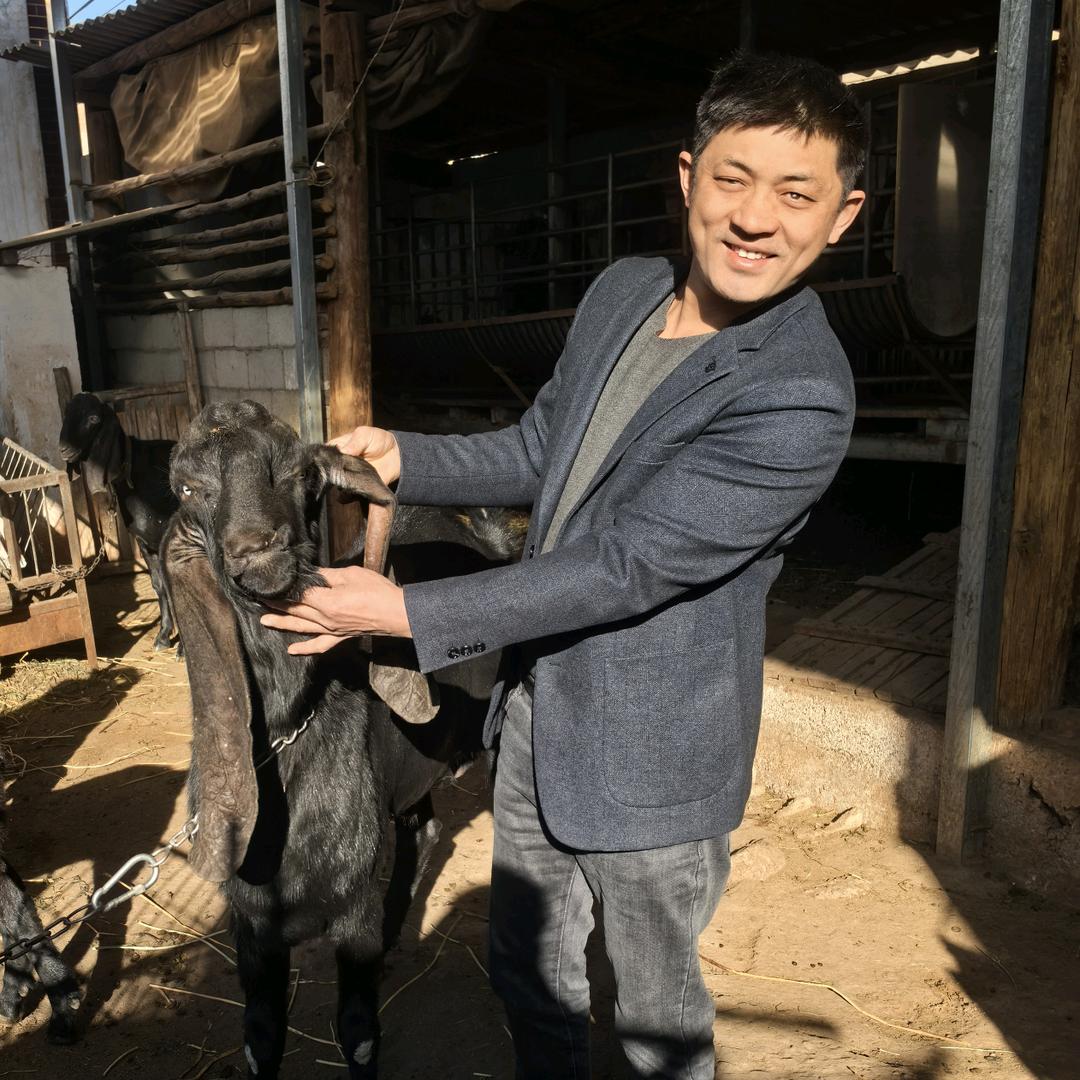 张幺哥百草养殖山羊农场羊东家
