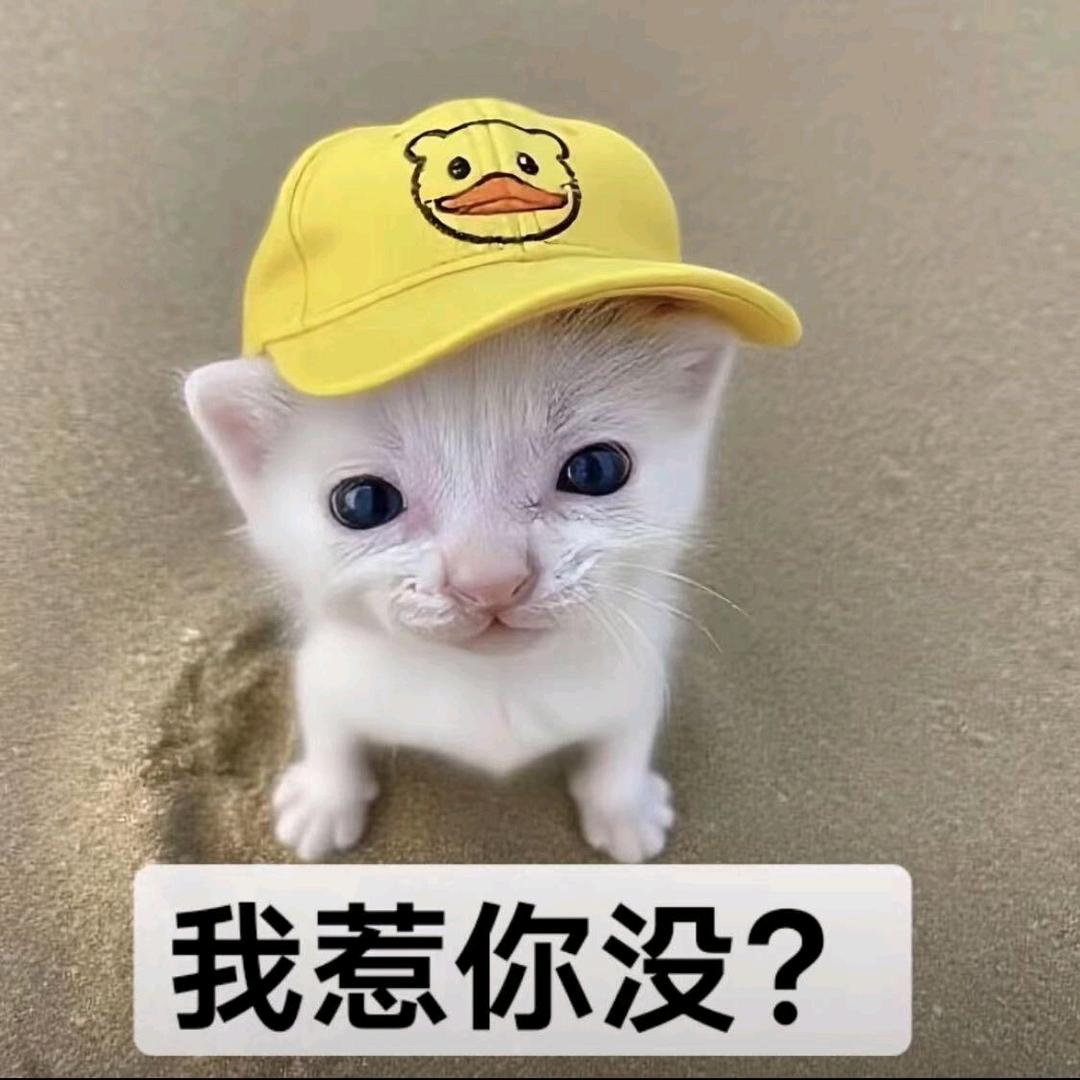 旺仔💖小蜜