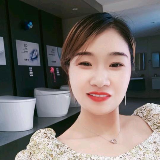 恒洁卫浴小池店飞燕