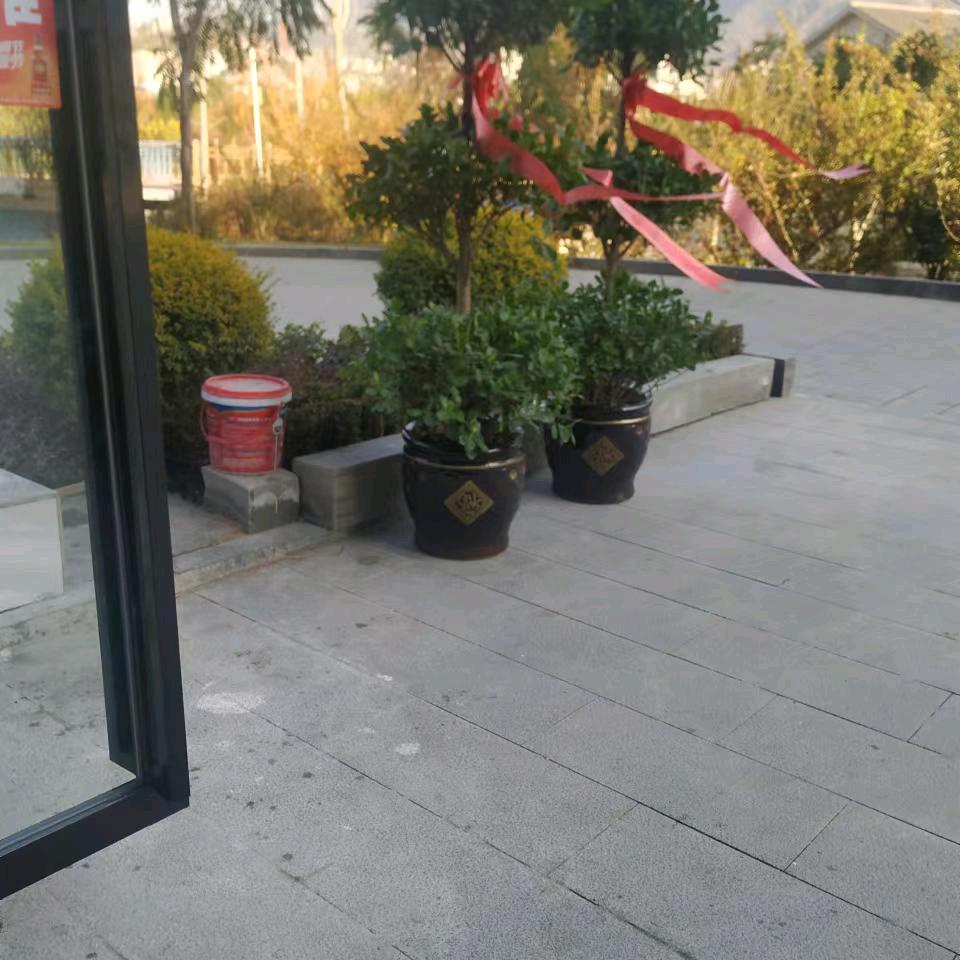 梦想归来