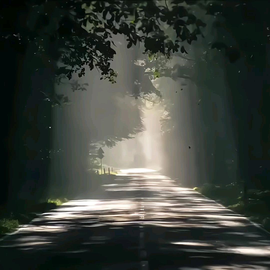 ▼是你▼