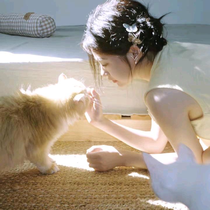 圆圆.