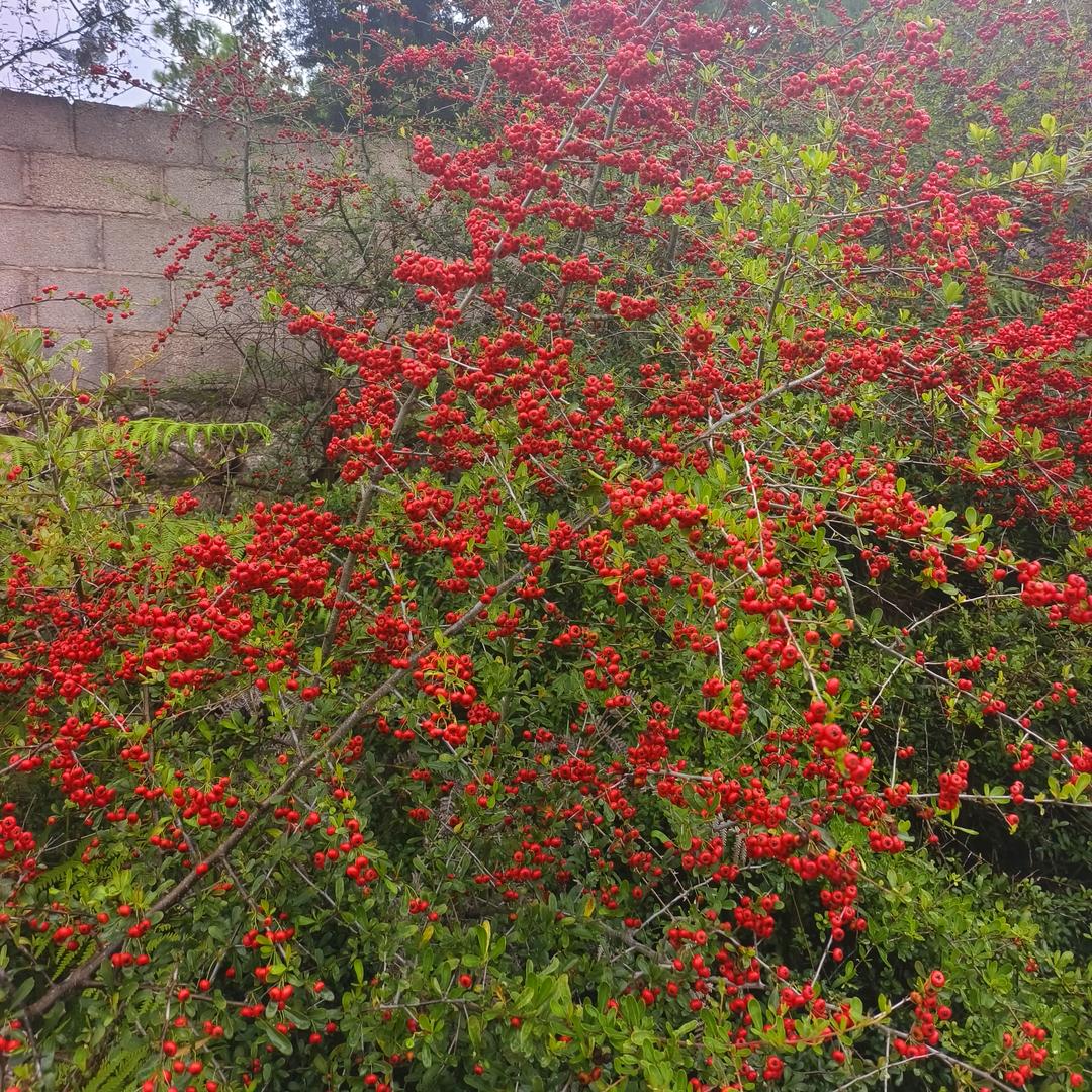 余生不将就，懂才配拥有