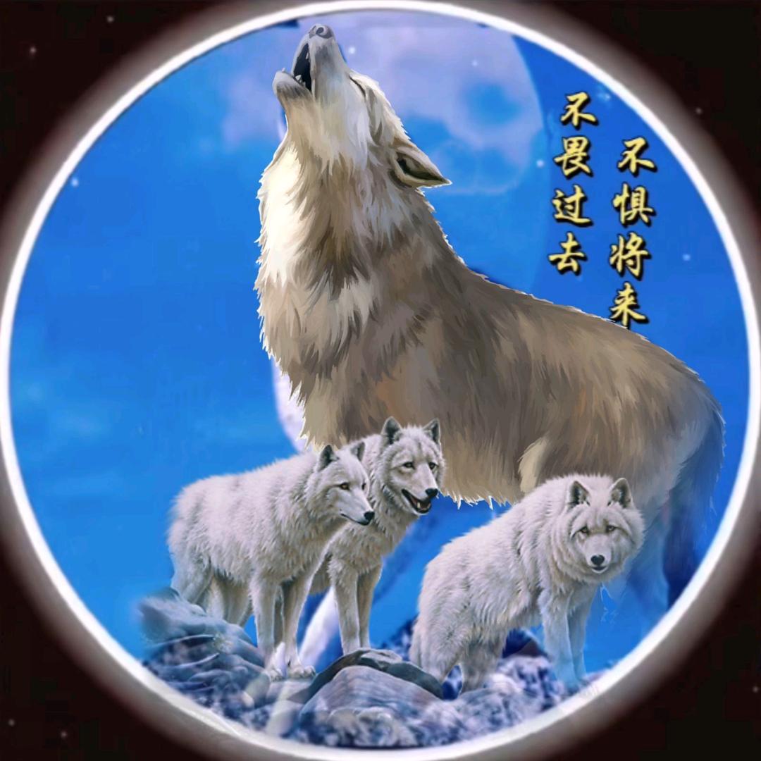ℳঞ烟在寂寞🌿中点燃🕊