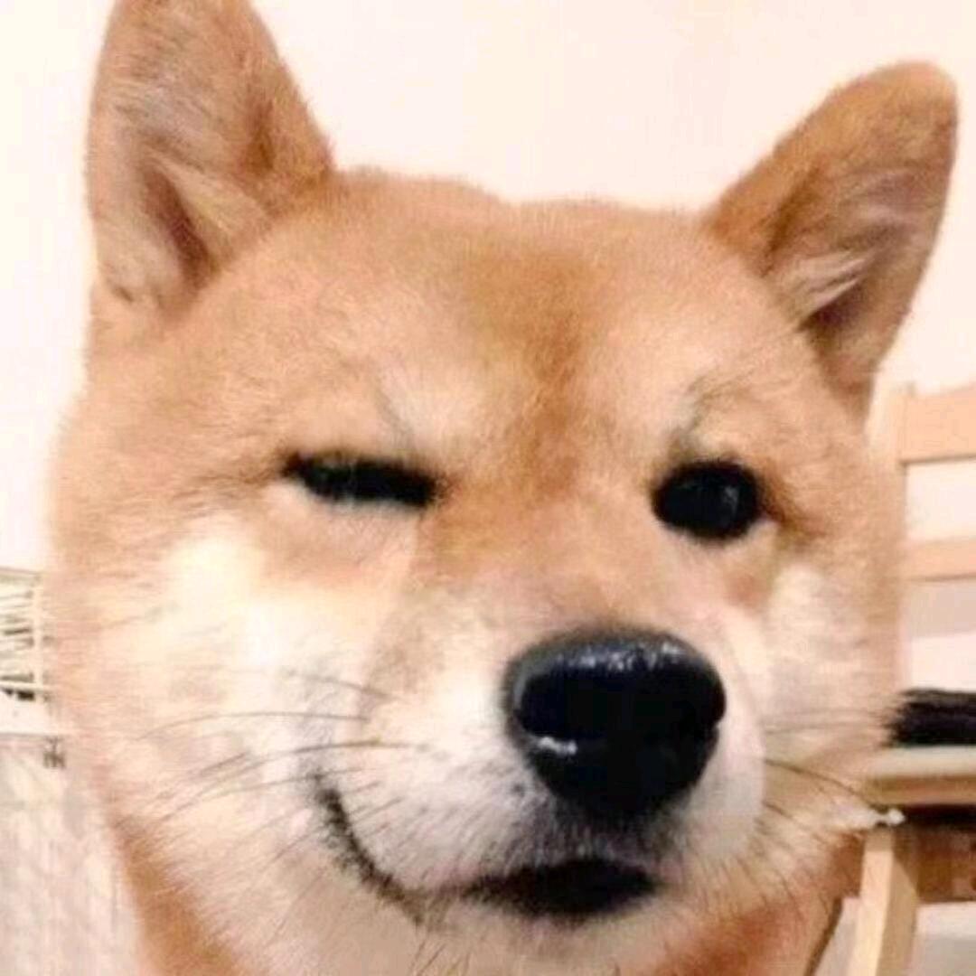 狗蛋大兵（亖角洲行动）
