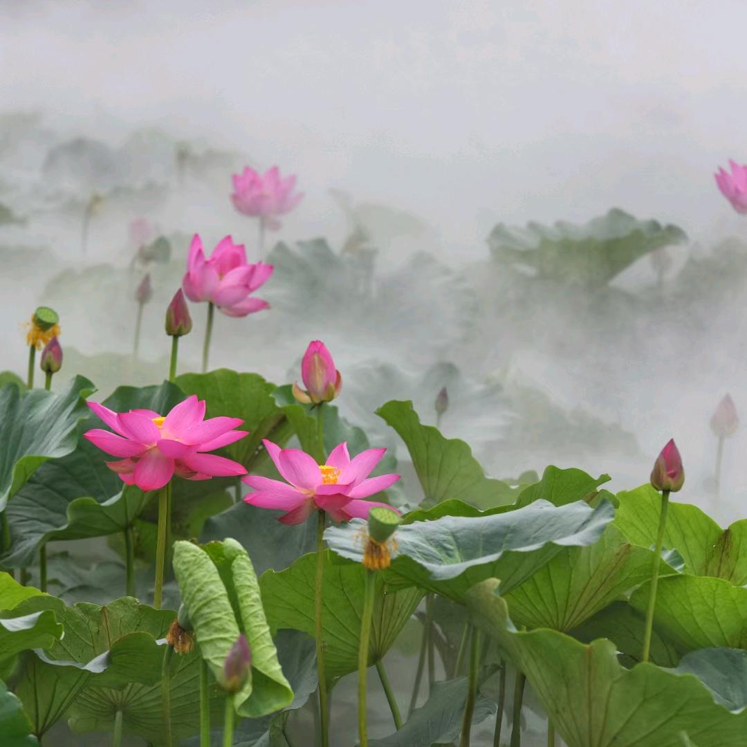 小张真敬业