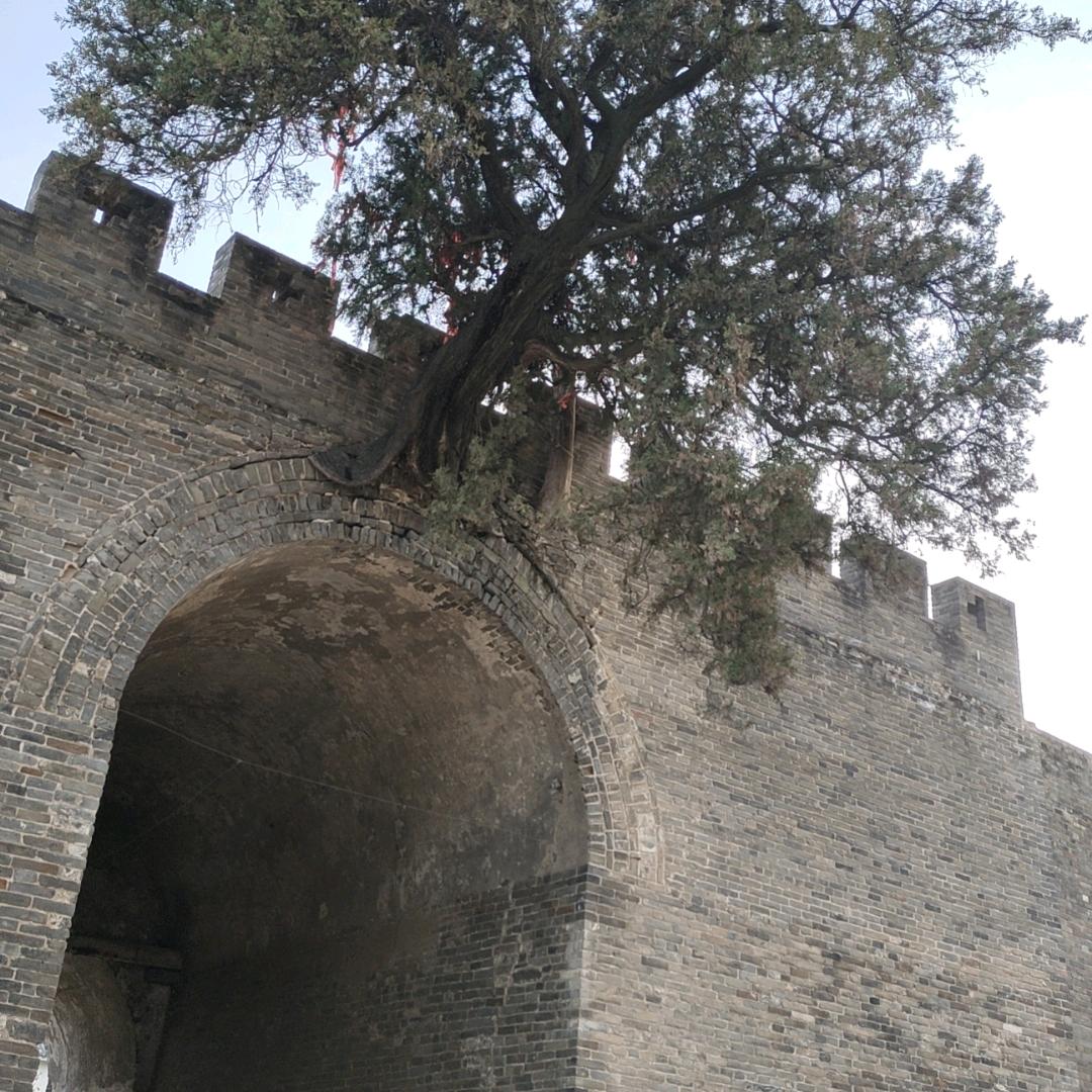 大鱼吃小鱼