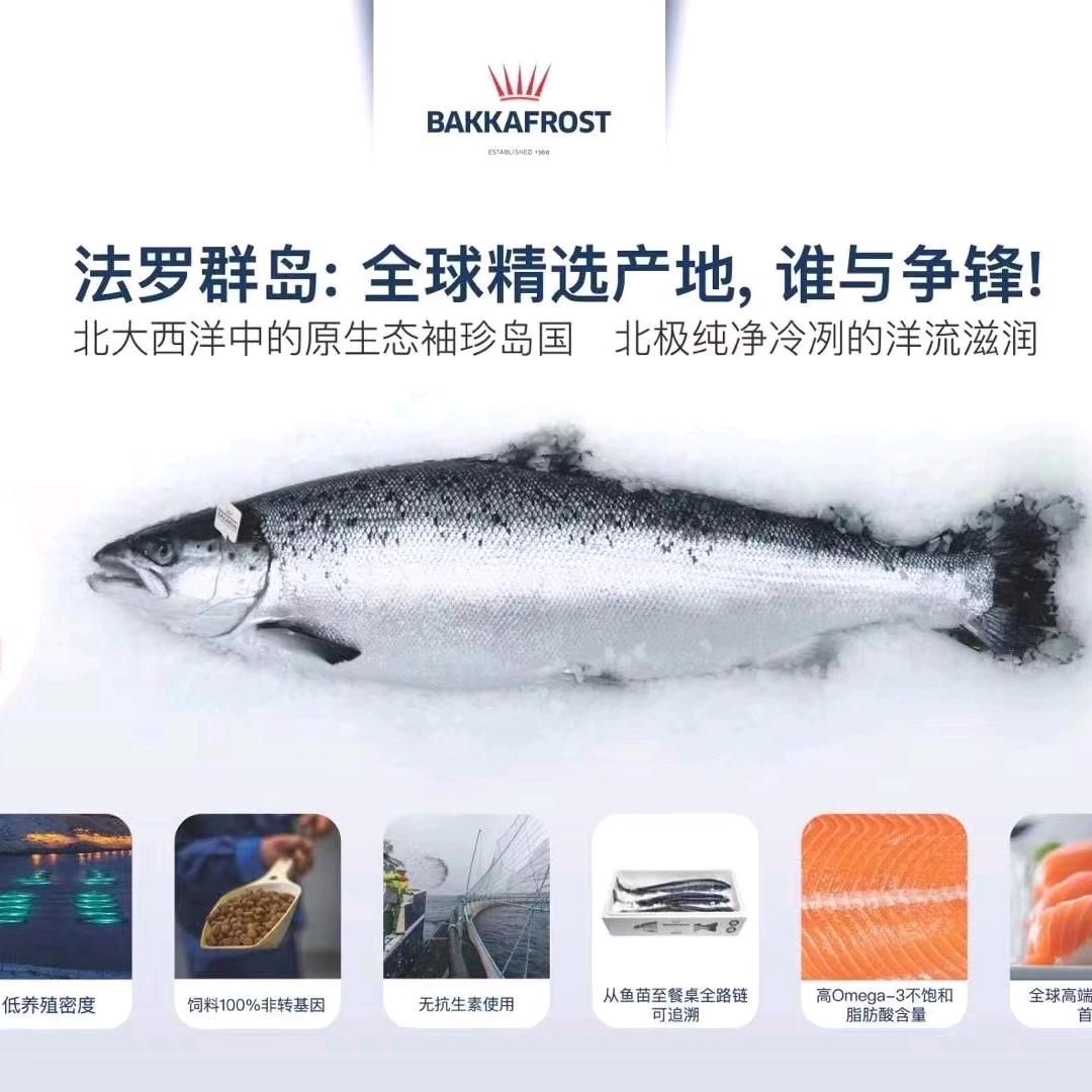 上海江阳市场三文鱼批发