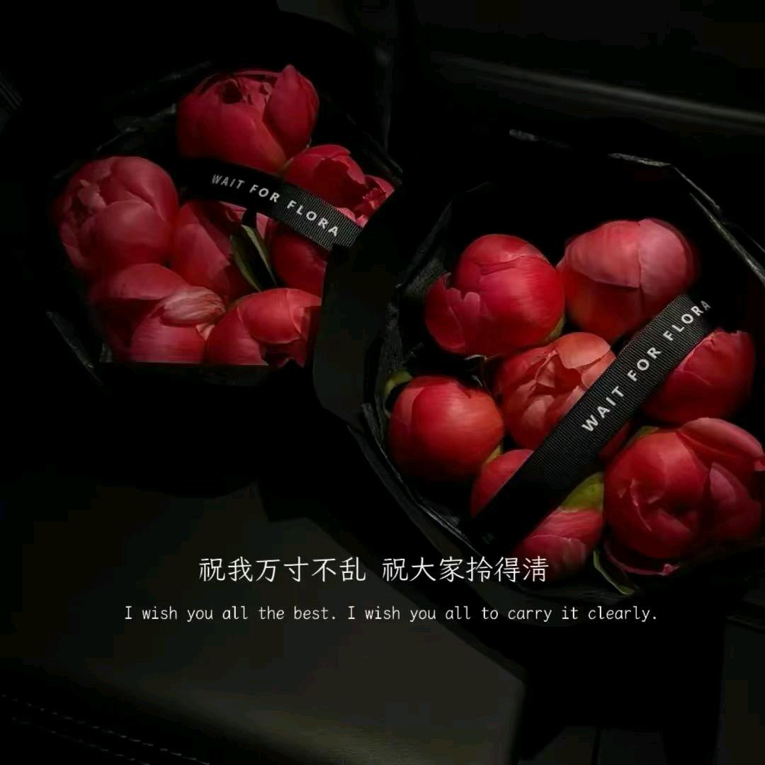 心悦四维绘画师