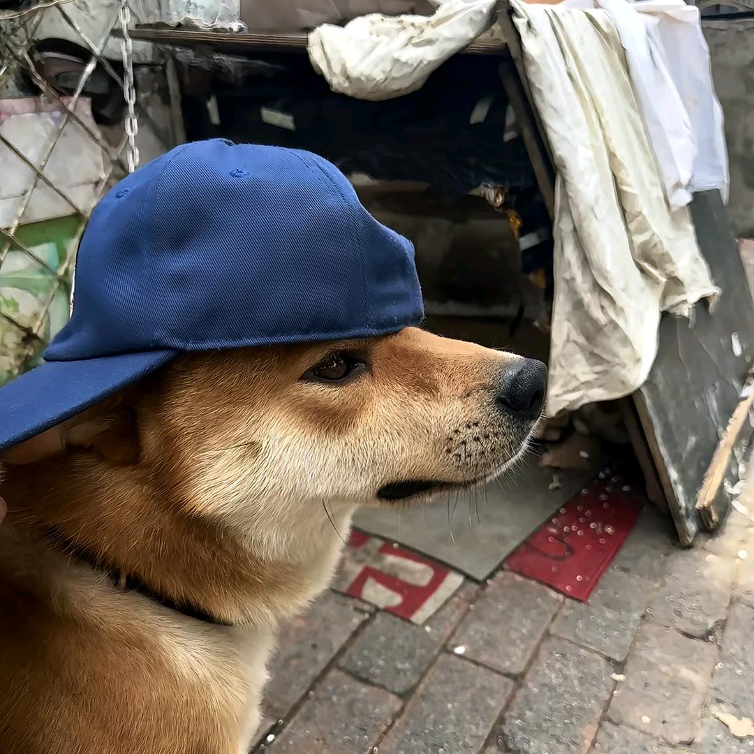 瀺