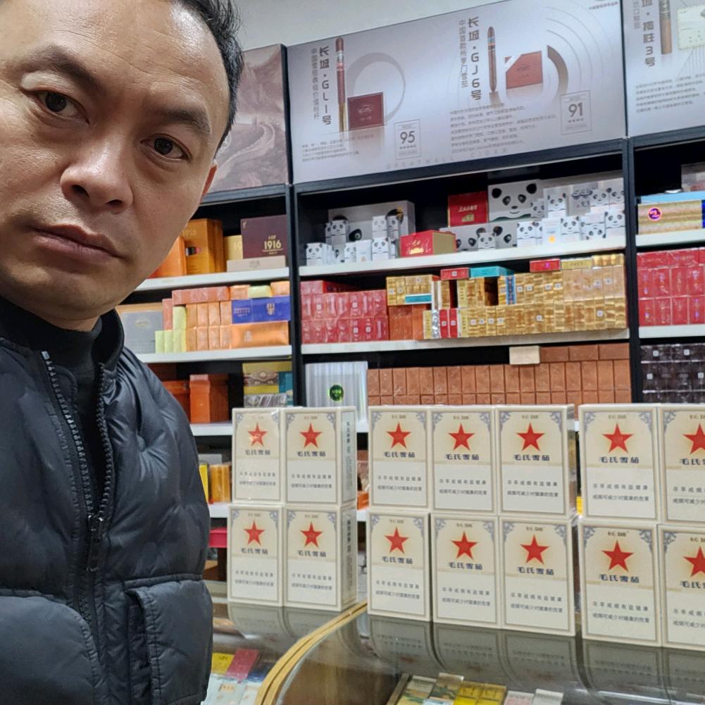 成都雪茄小狼狗