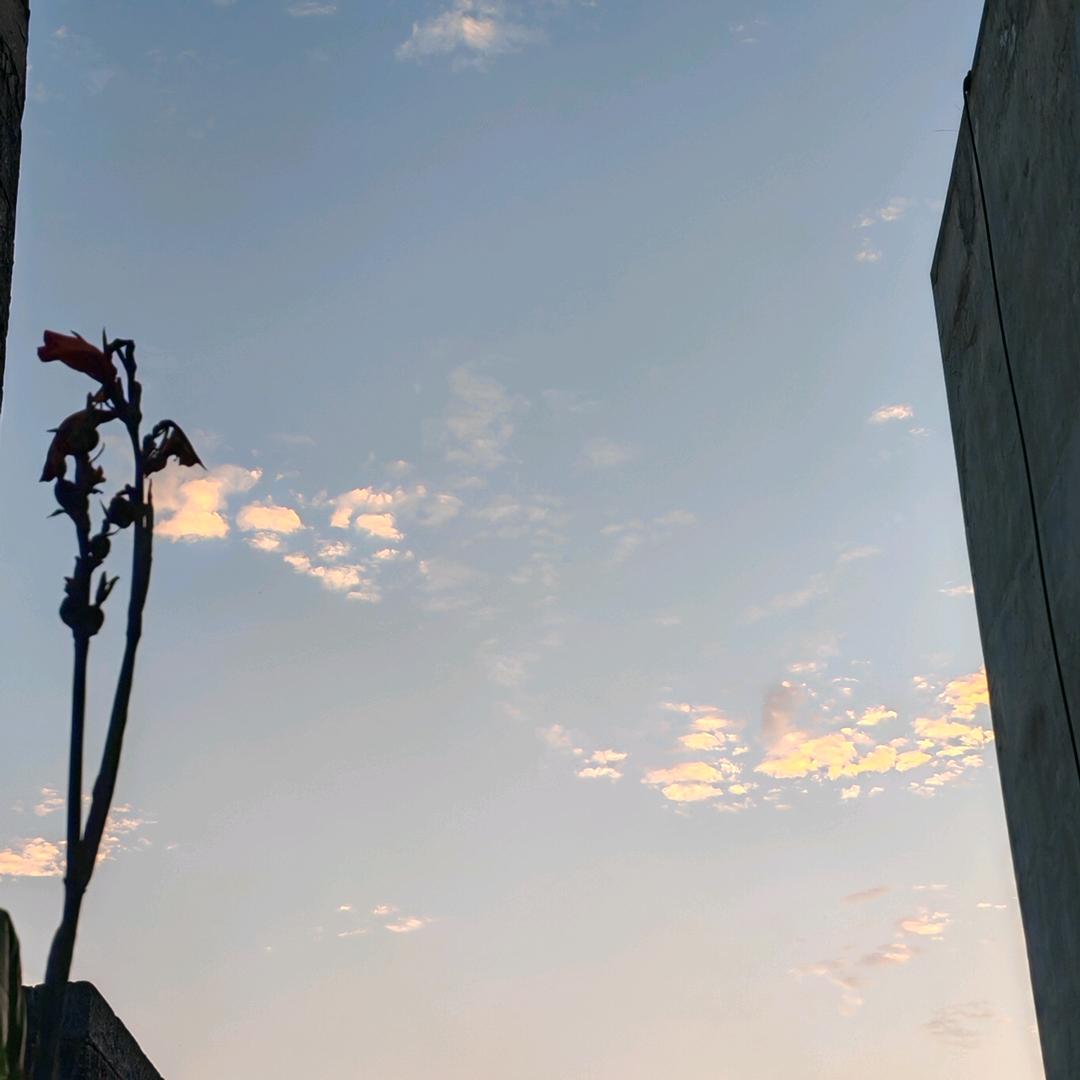 小王的小火椒计划