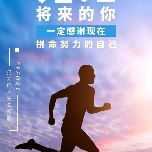 🦅个中翘楚🦅