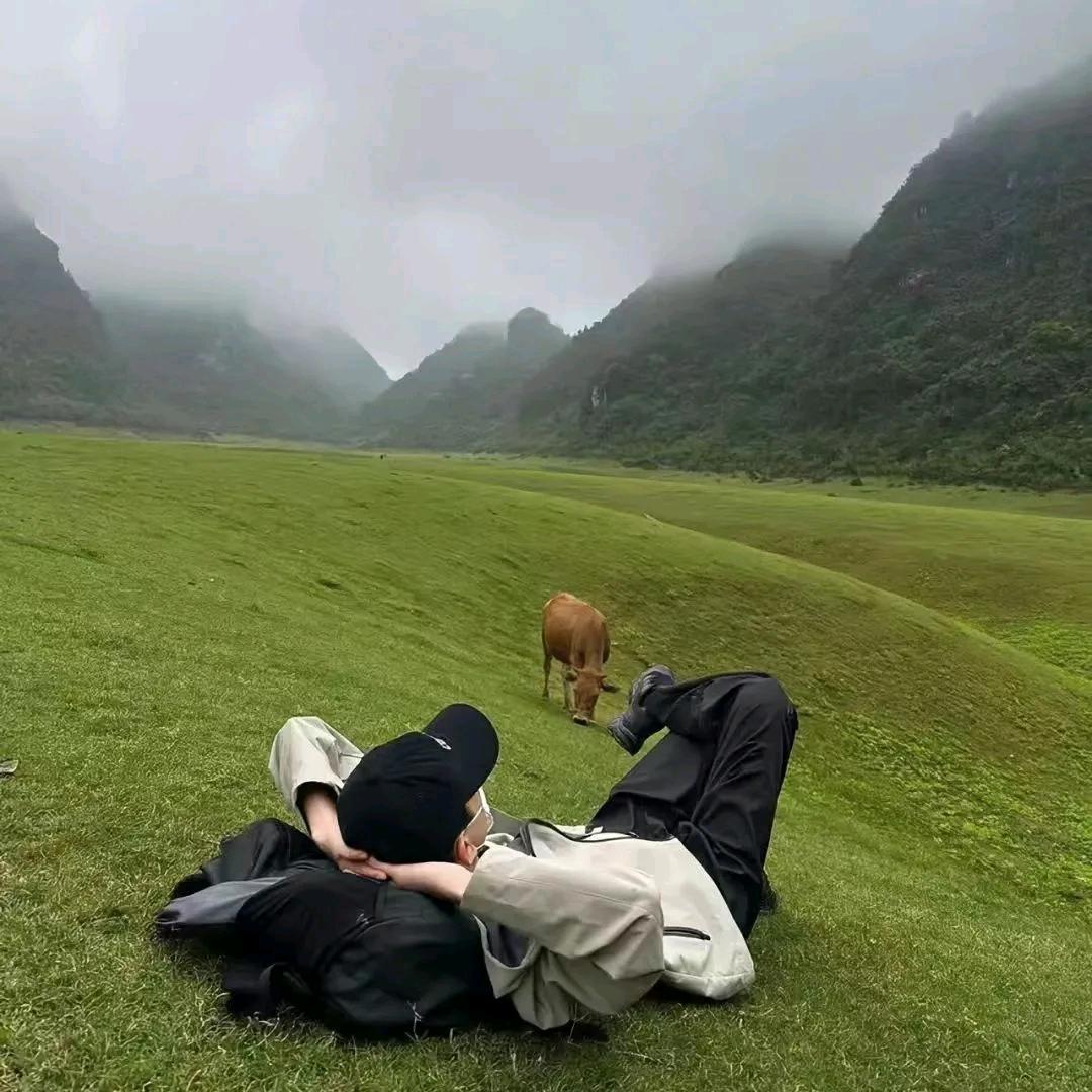 土豆