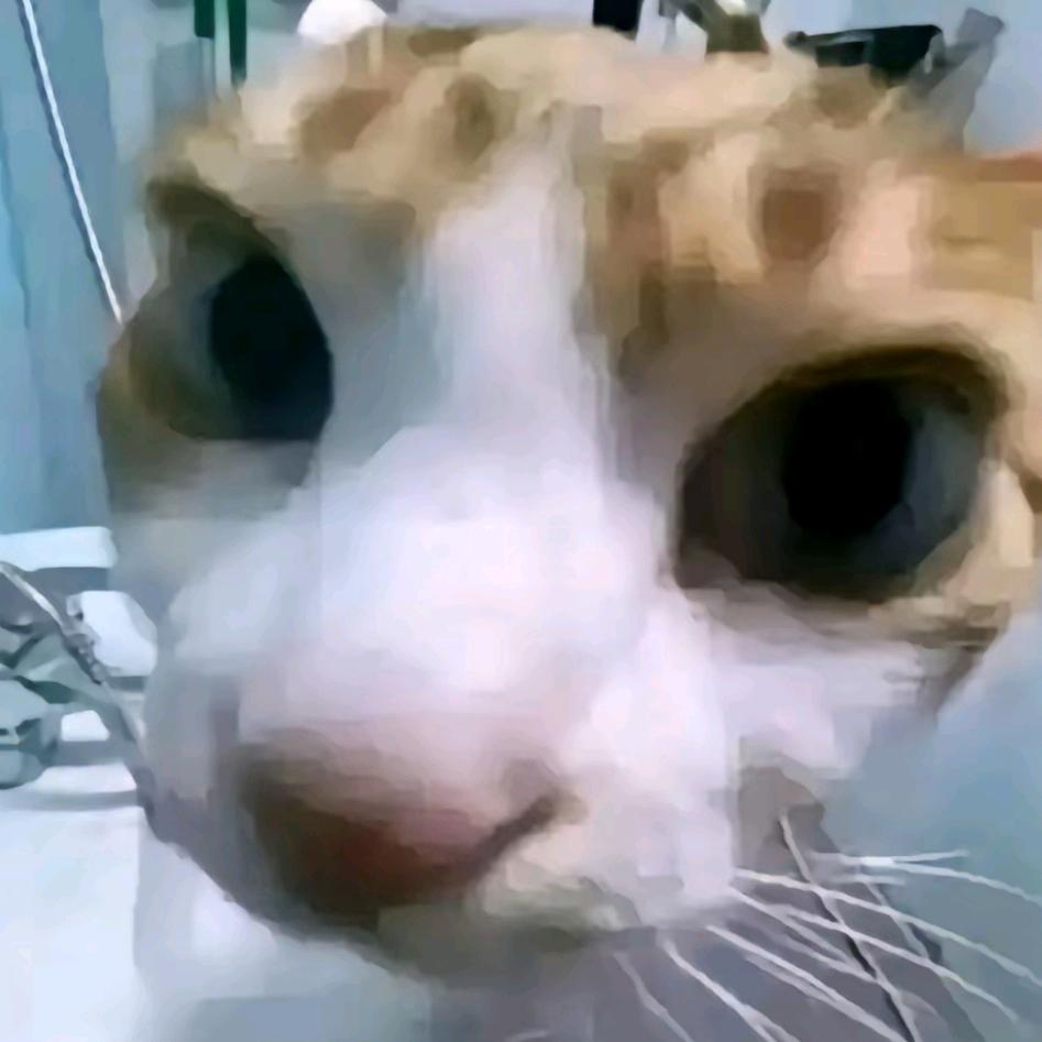 生江可乐