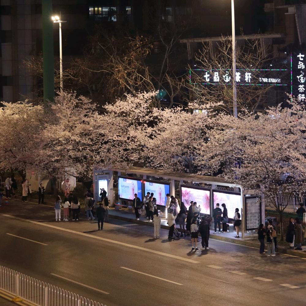 祝大家一夜暴富