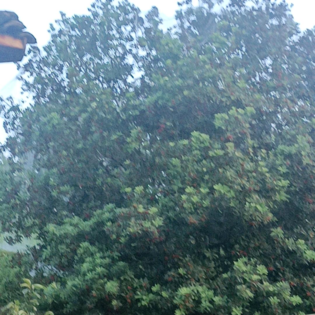 天天上班