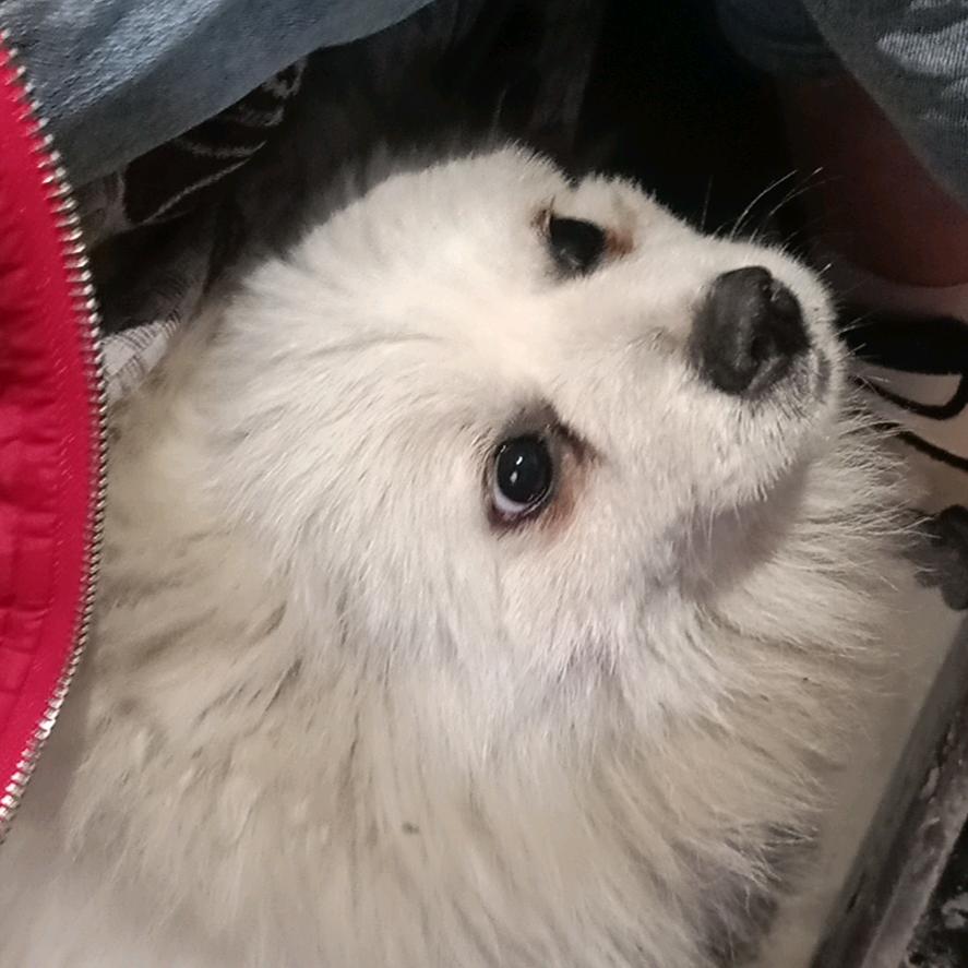 未来不是我的梦想。