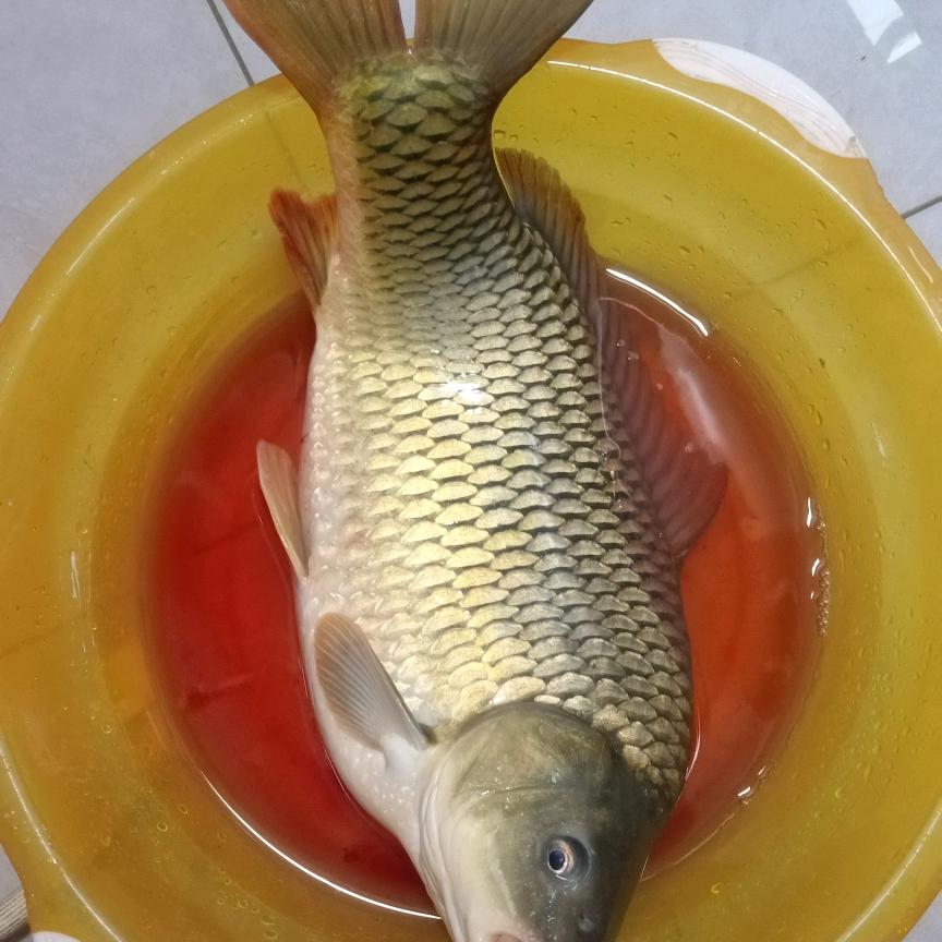 云海天涯