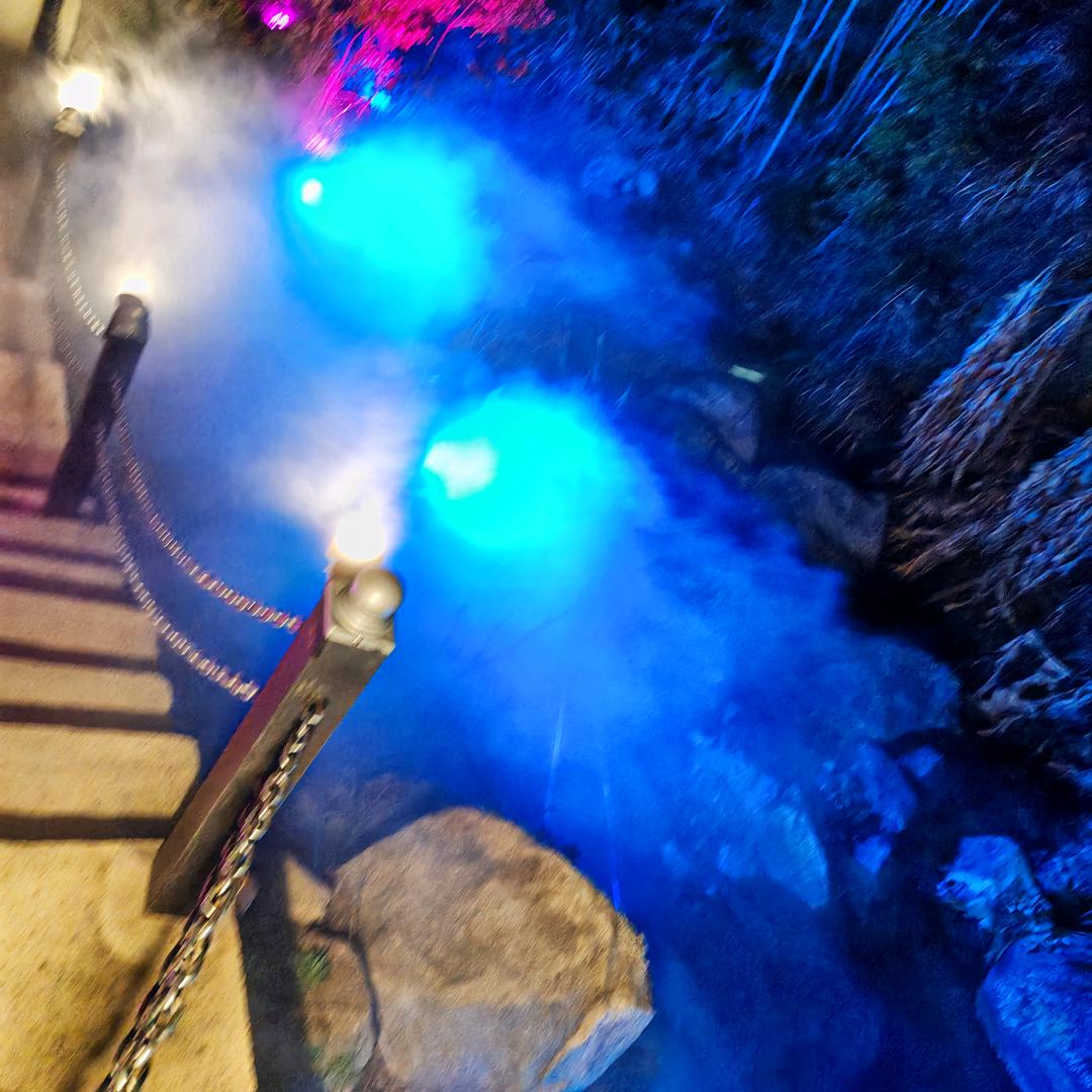 💕💕无忧无虑