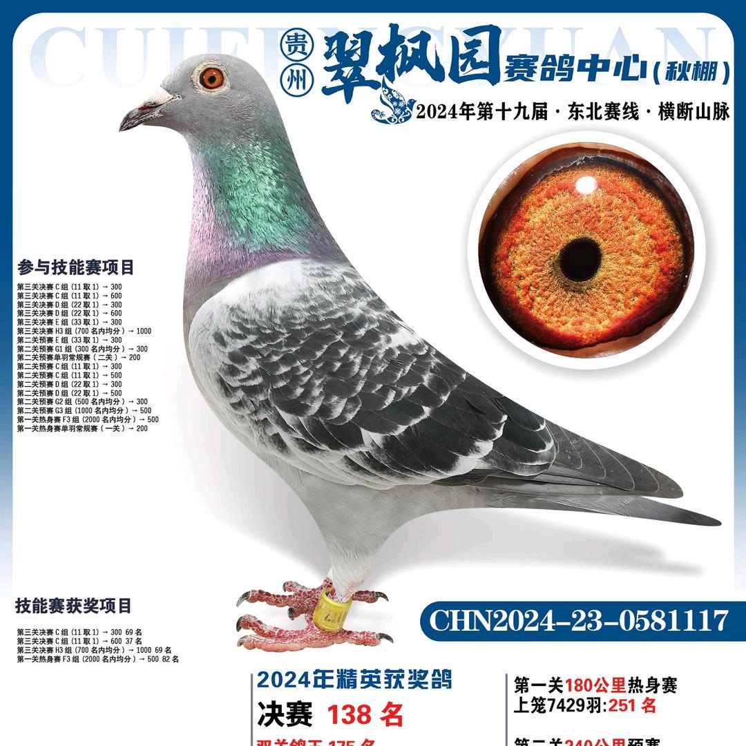 天之骄子