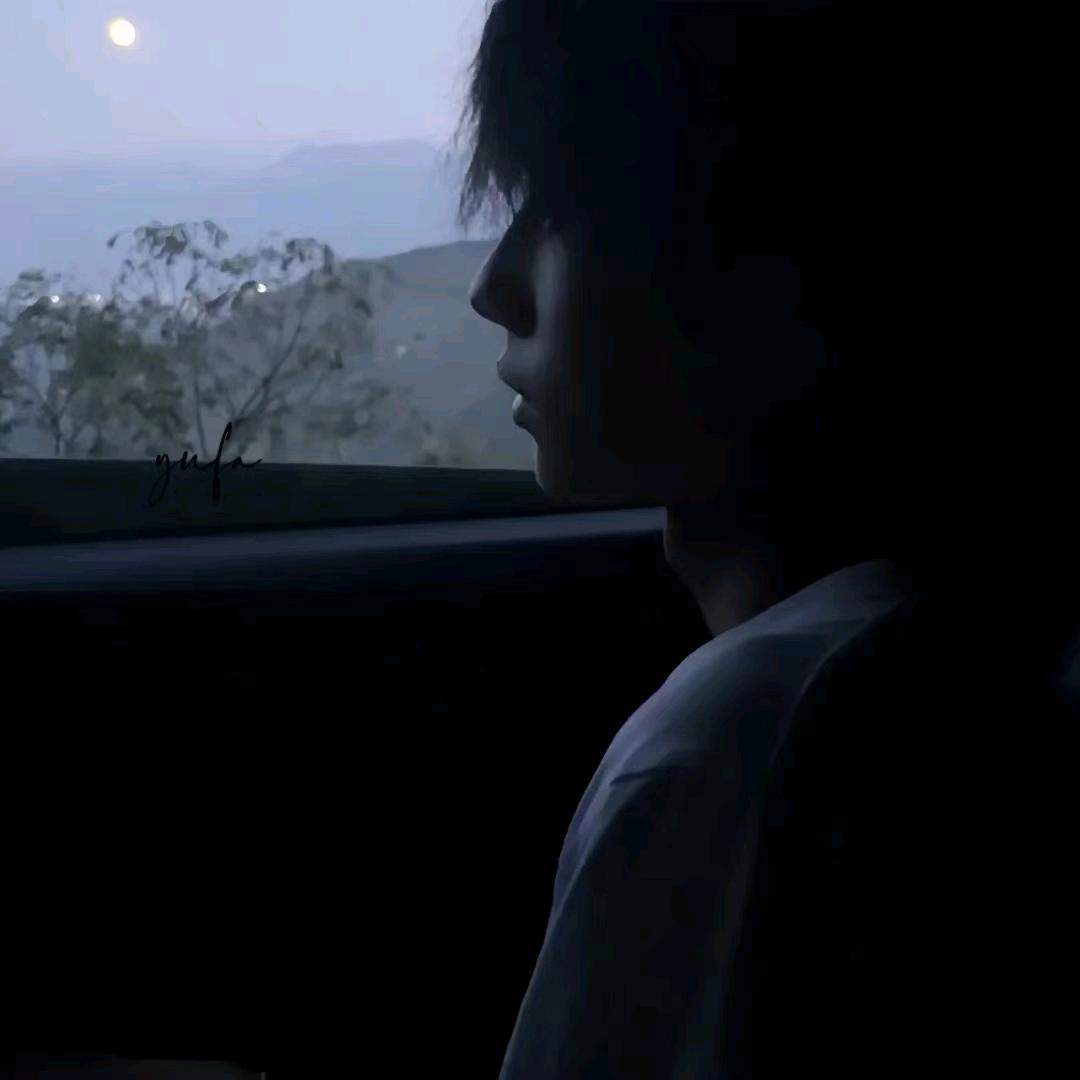 张艺王子