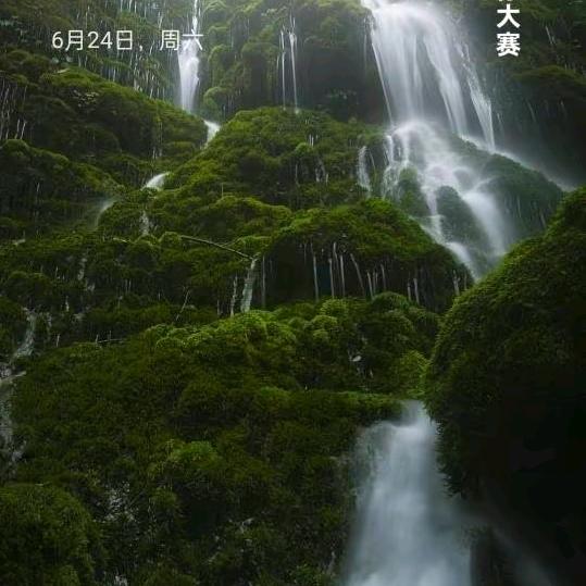 罗小红