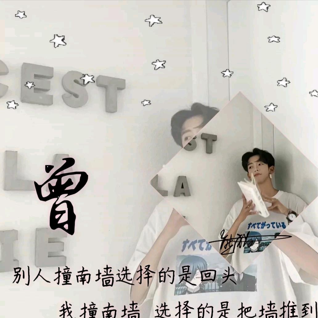 阳光车险十寿险