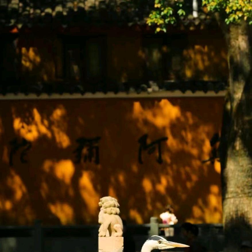 浮生若梦，为欢几何