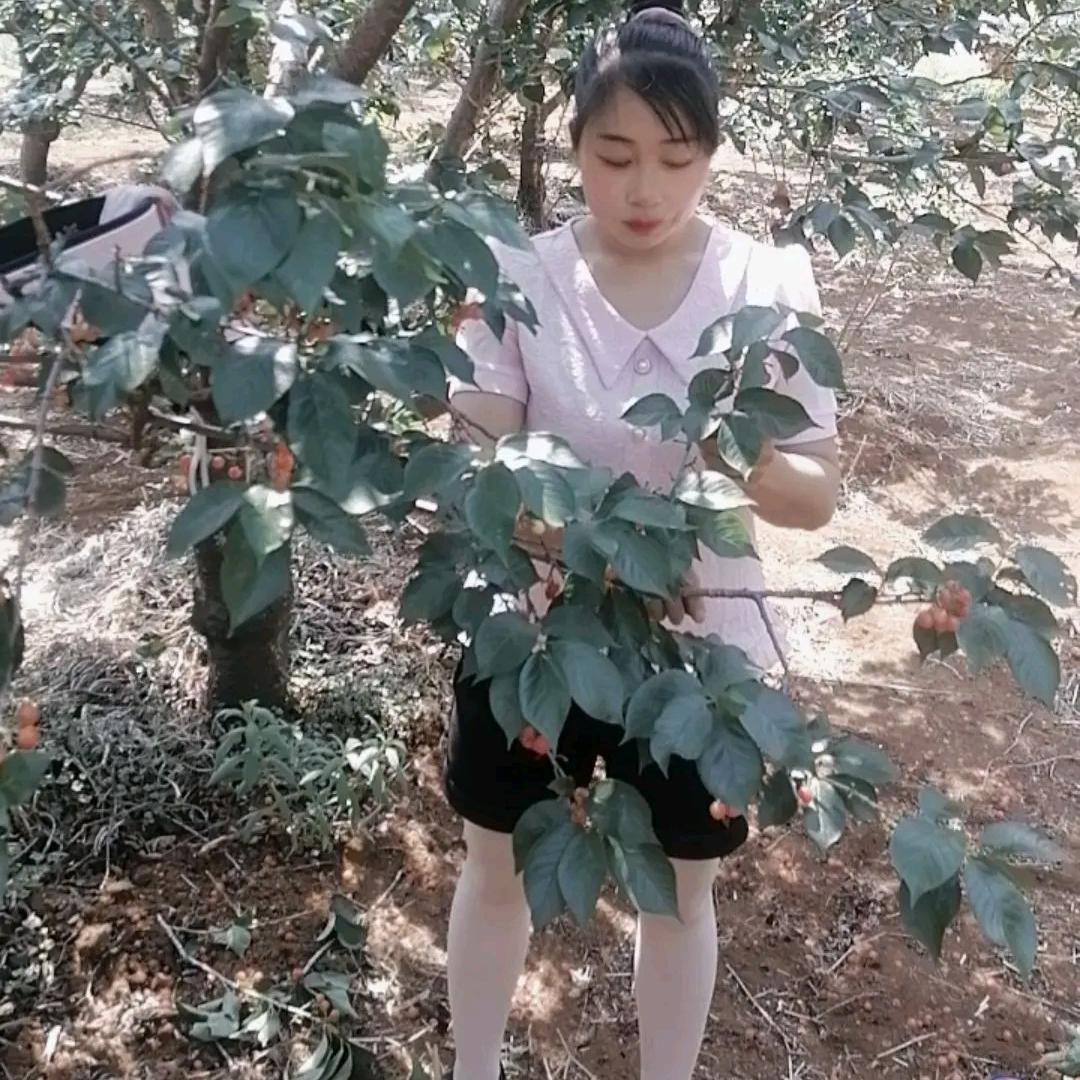 让心归零