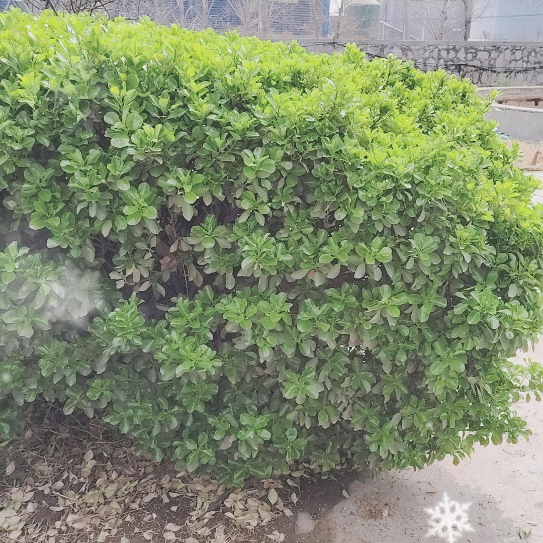 未知数