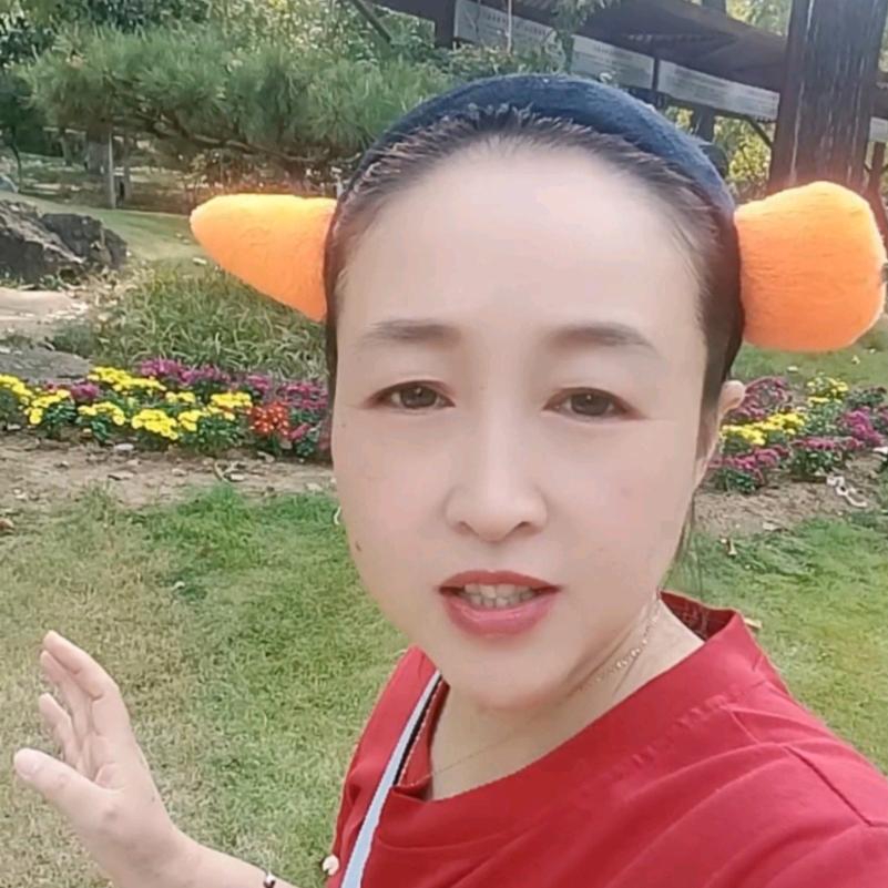 飞妈来了