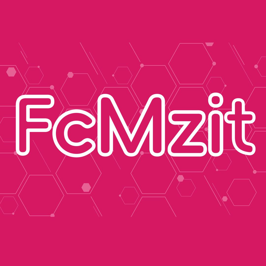 FcMzit海外旗舰店