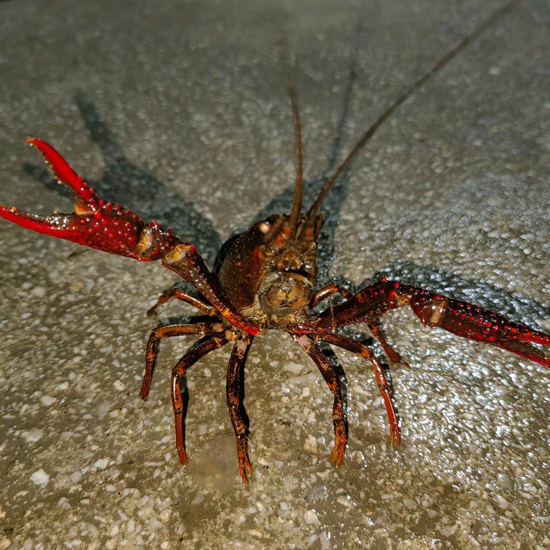 开心就好🙈🙈🙈